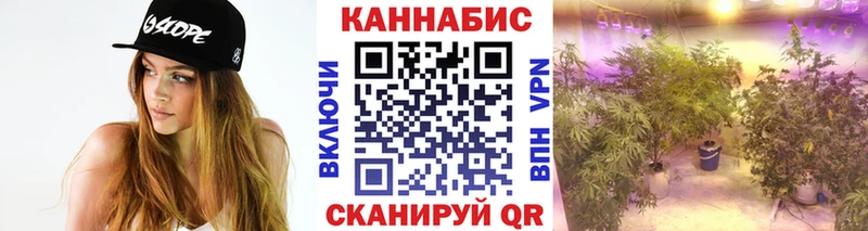 МАРИХУАНА THC 21% магазин продажи наркотиков Фрязино